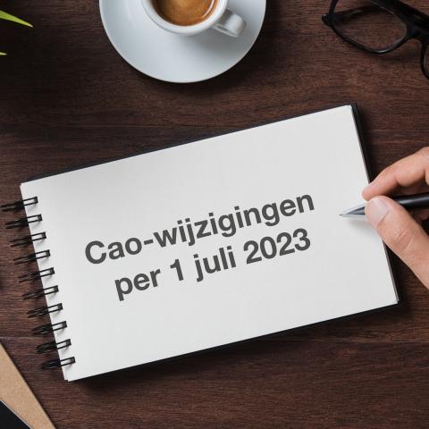 Wijziging Algemene Voorwaarden En Inleenovereenkomst Per 1 Juli 2023 | NBBU